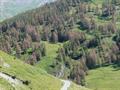 Larici ingialliti in Valle Varaita